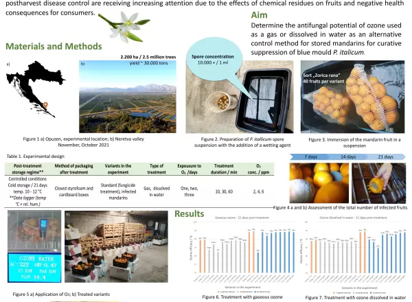 Control in Citrus Fruit Crops 2022 Greece